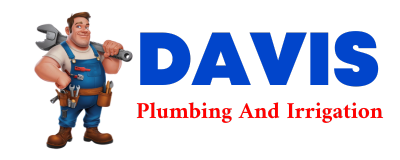 Trusted plumber in NEW SUMMERFIELD